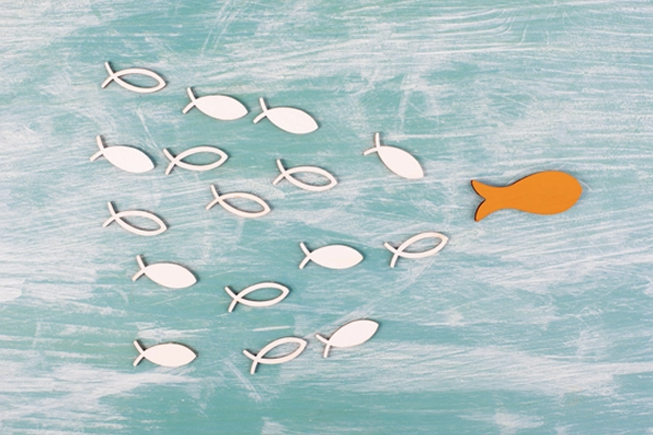 follow-the-leader-img